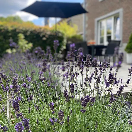 Maison Hortensia Tellin